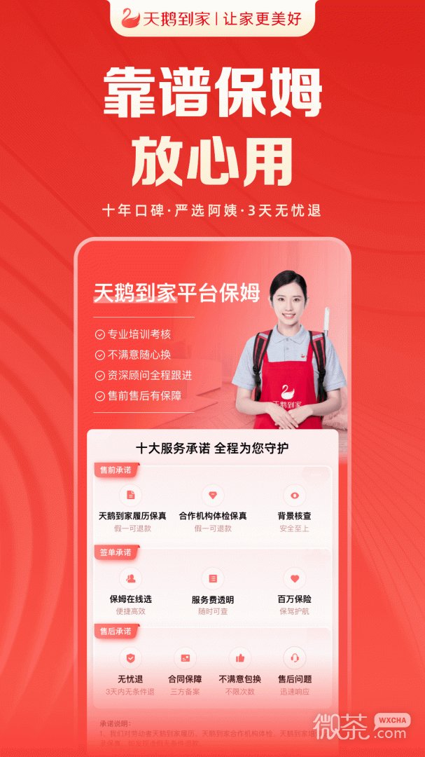 天鹅到家