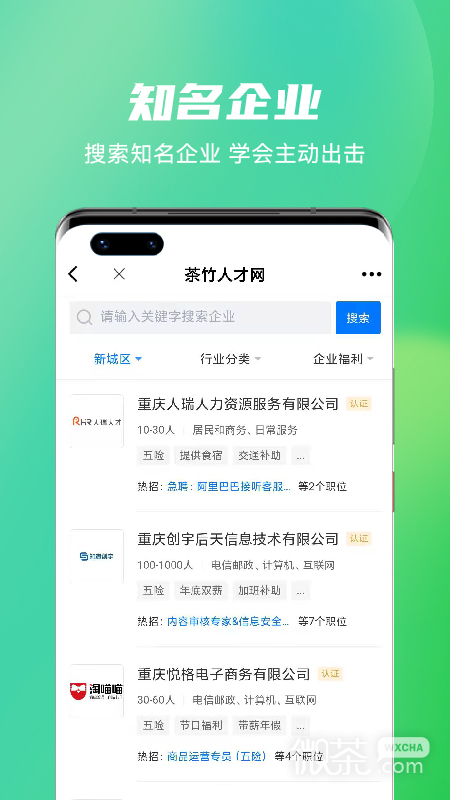 茶竹人才网