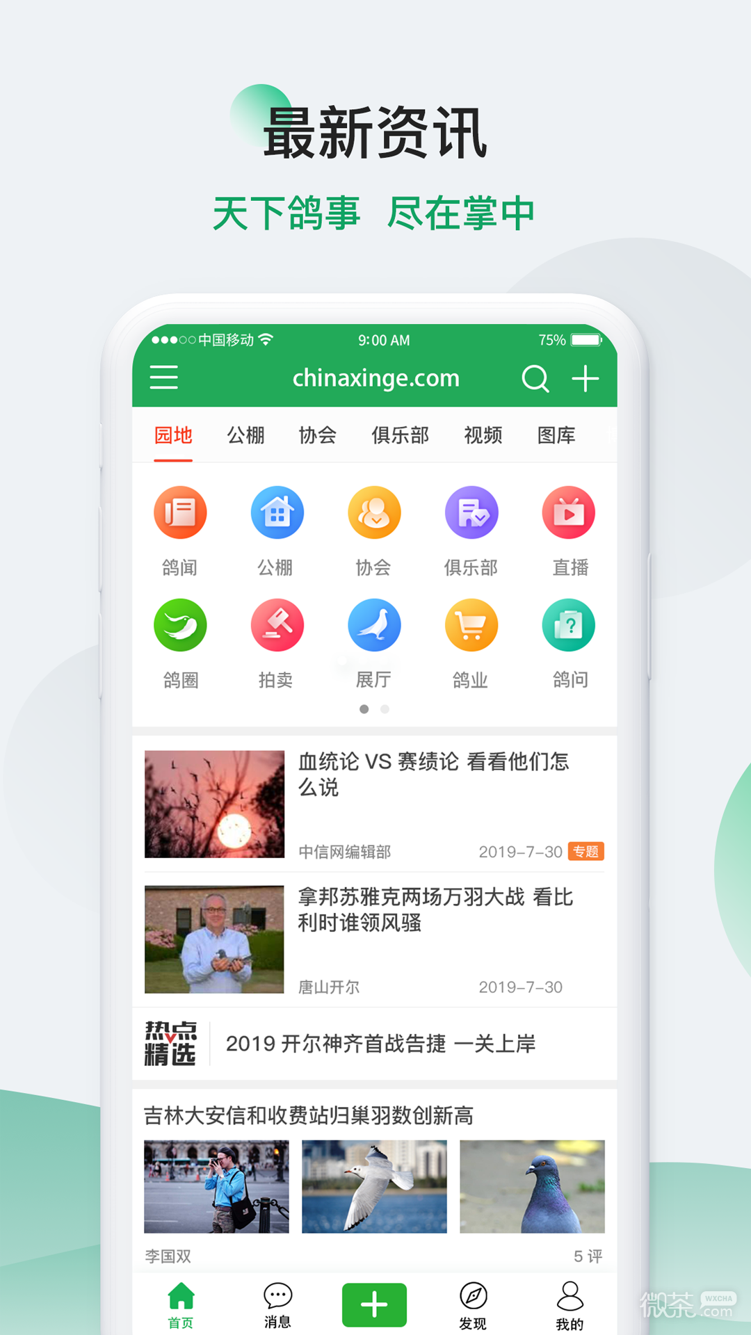 中国信鸽信息网最新版