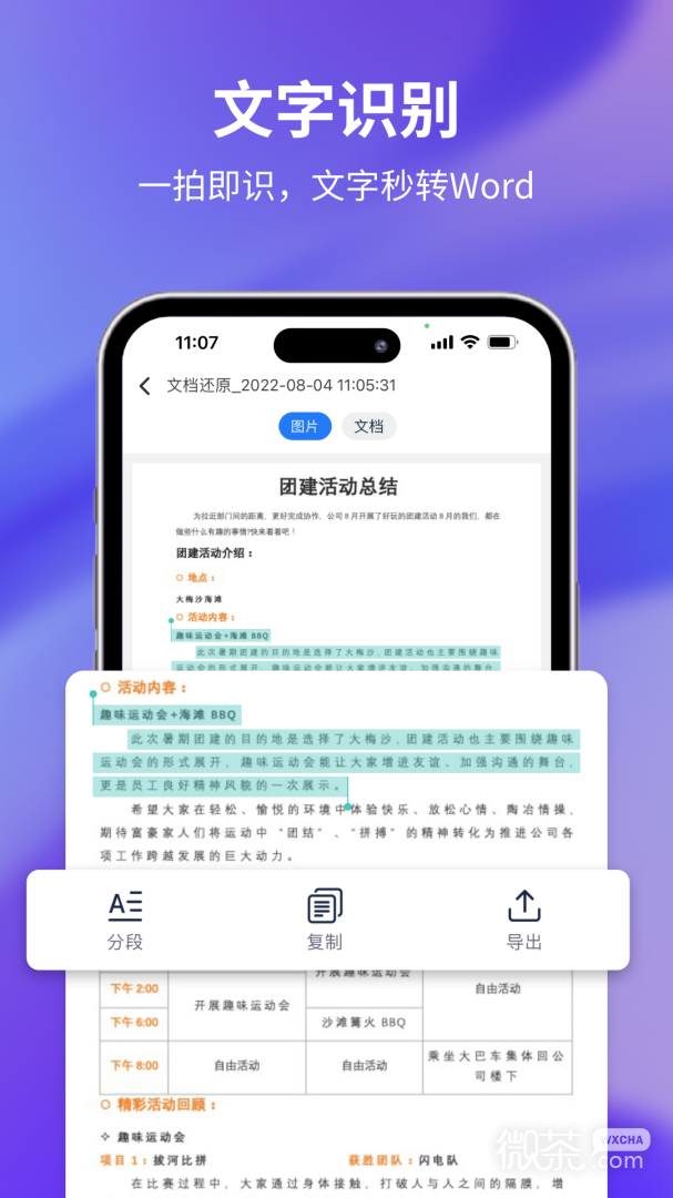 文字提取大师