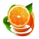 橙子视频v4.2.0版