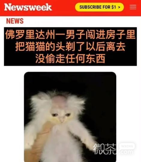 佛罗里达不养闲人梗含义一览