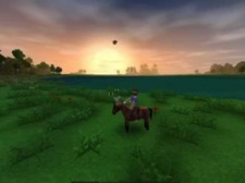 支持联机的生存