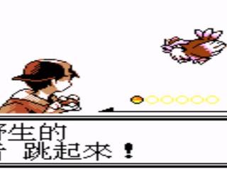 口袋妖怪银