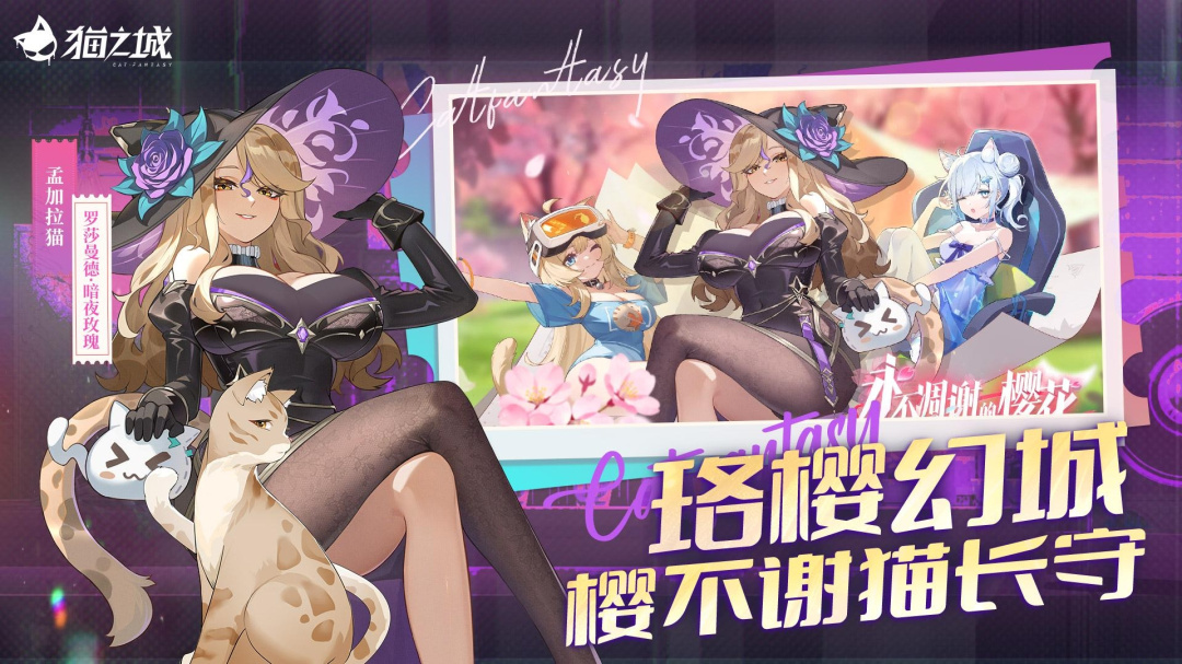 猫之城