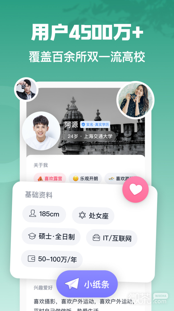 青藤之恋