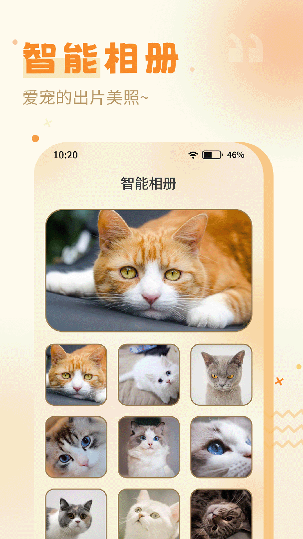 猫语翻译器