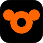 NN