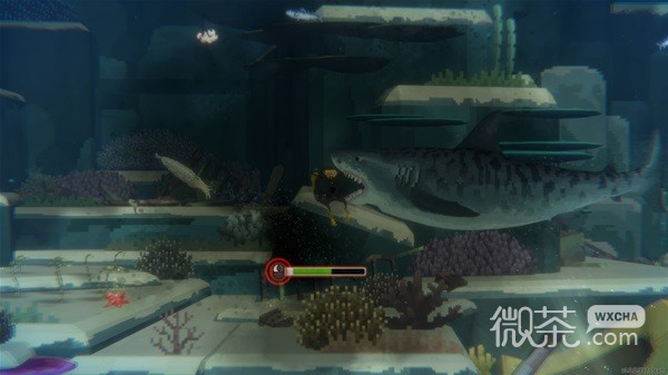 《潜水员戴夫》正式版设定及玩法攻略