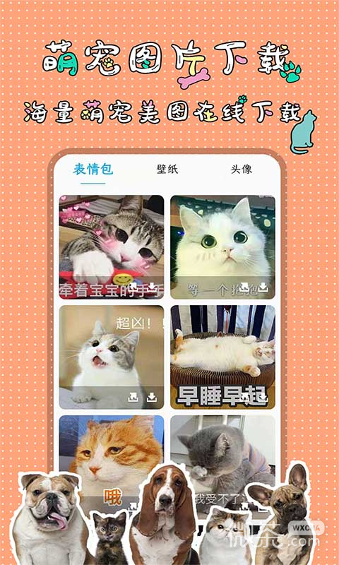 人猫人狗翻译交流器