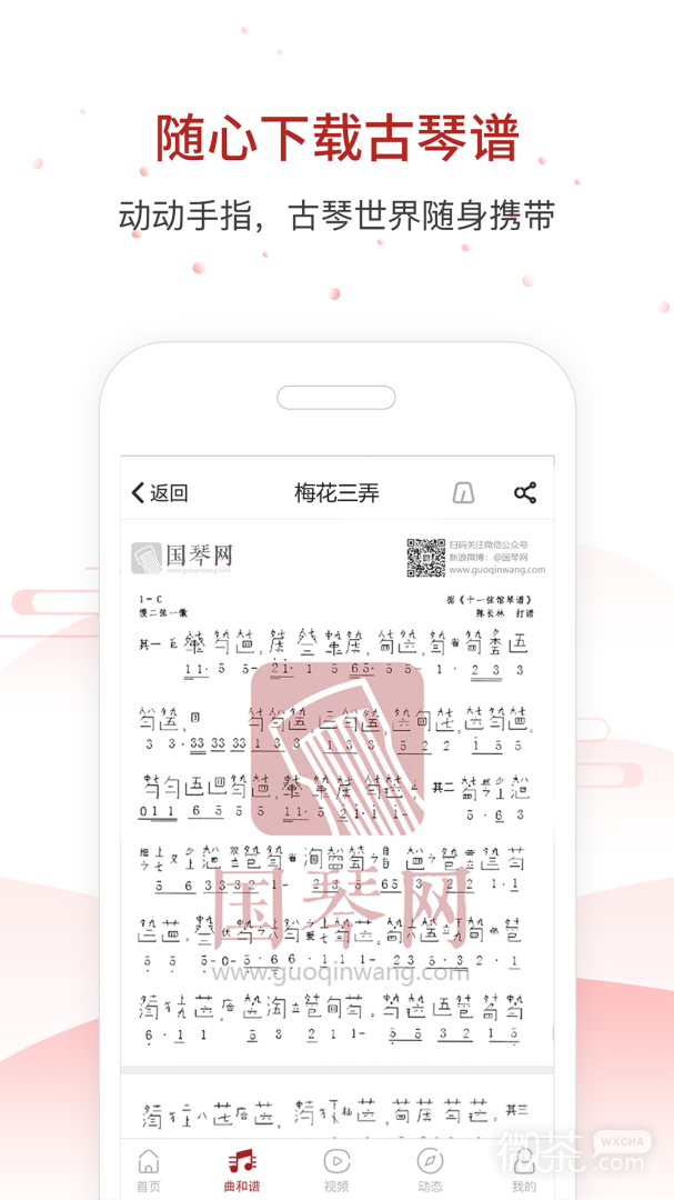 国琴网