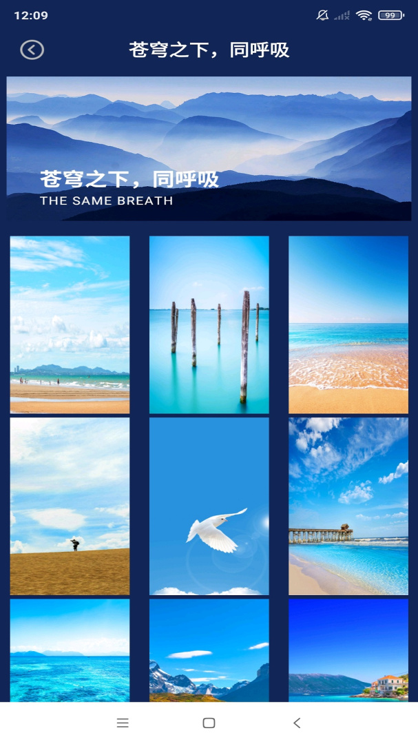 动态壁纸精选