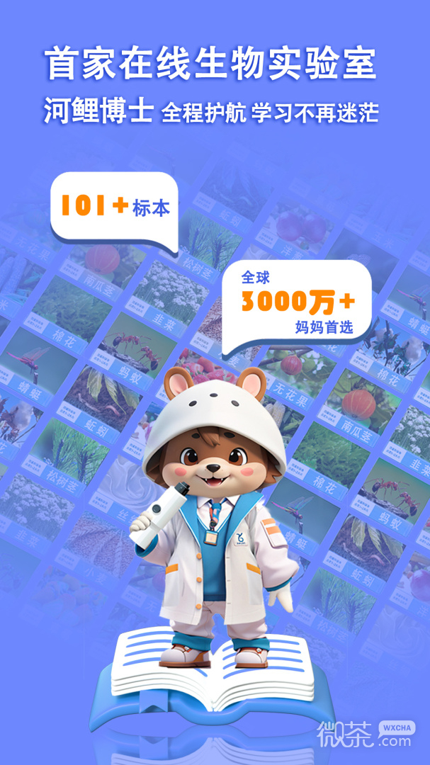 赫鲤