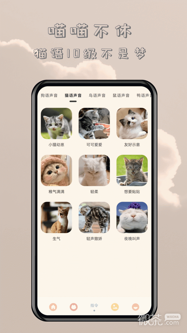 哆啦猫狗翻译器