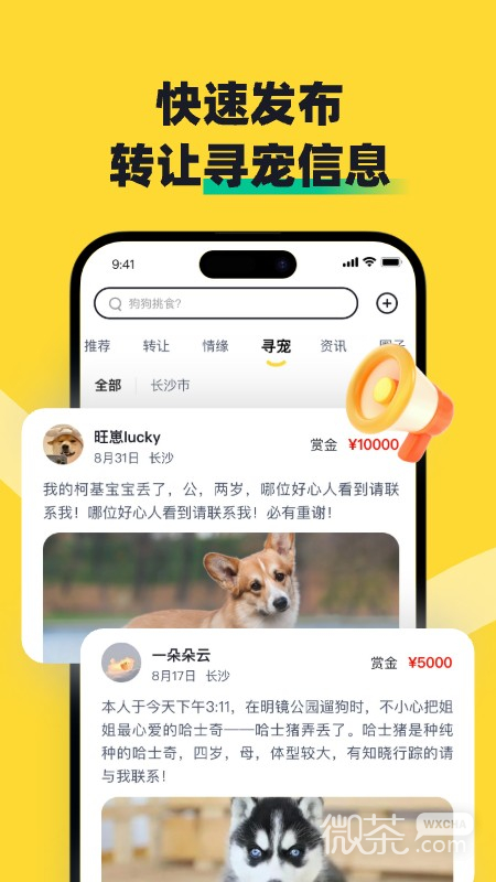 68宠物