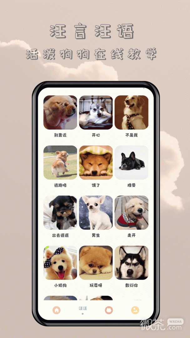 èappv1.2.2