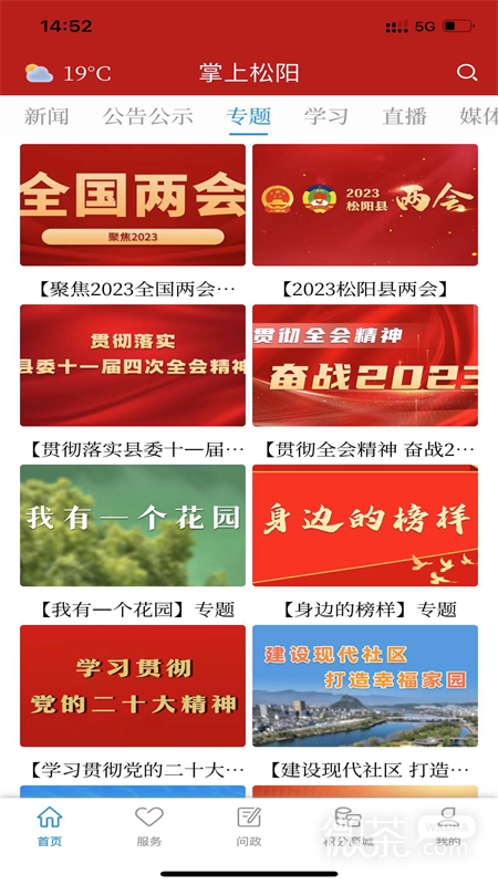 掌上松阳