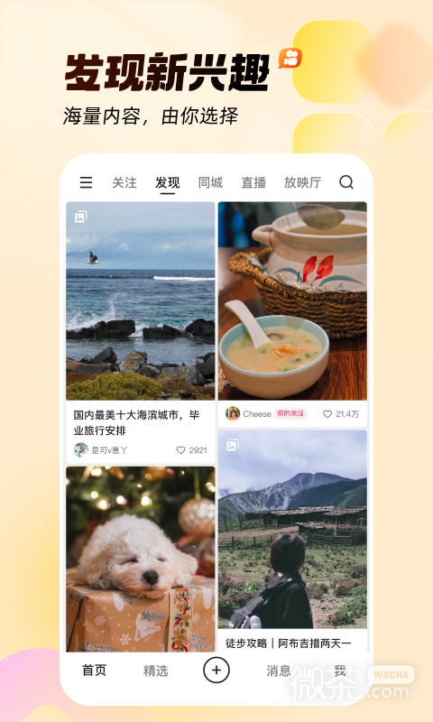 快手vivo定制版
