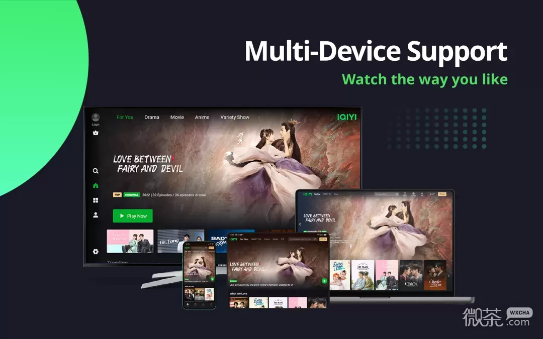 iQIYIappv16.2.0