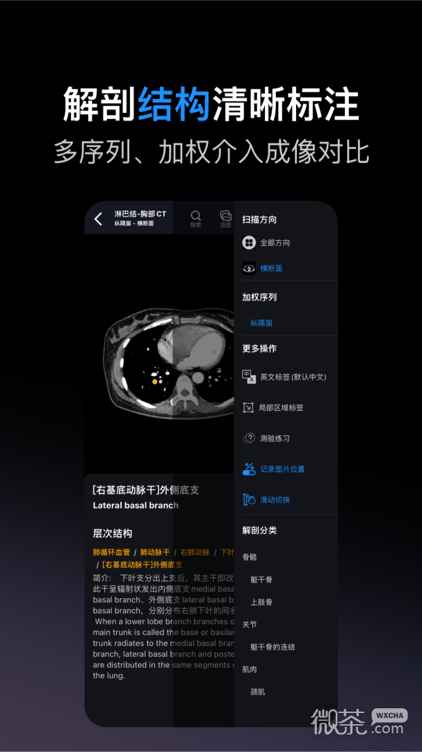 影像解剖图谱