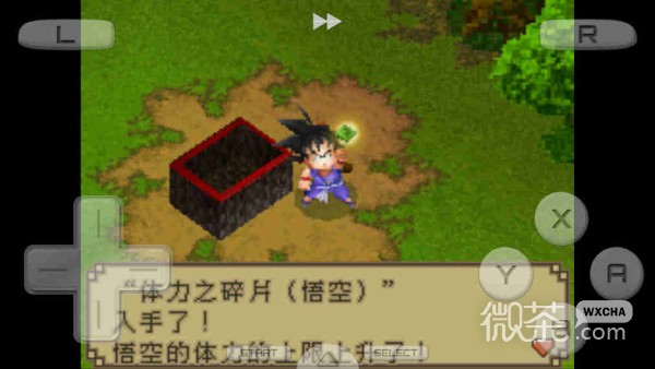 龙珠DS(Dragon Ball DS)