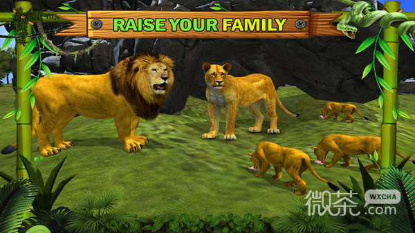 丛林王国：狮子家族