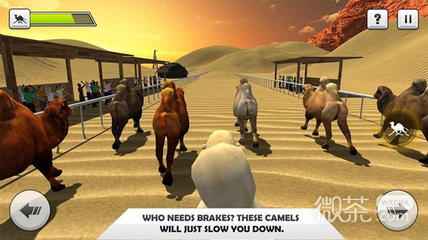野骆驼的赛车模拟器破解版