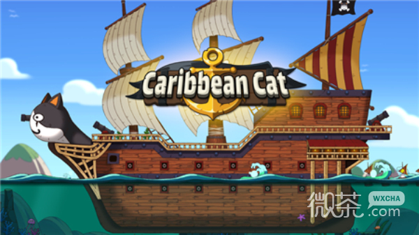 加勒比海猫