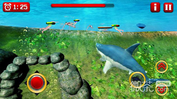 愤怒的白鲨3D