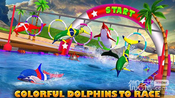 海豚比赛3D版