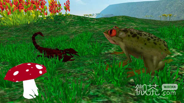 雨林青蛙生存模拟
