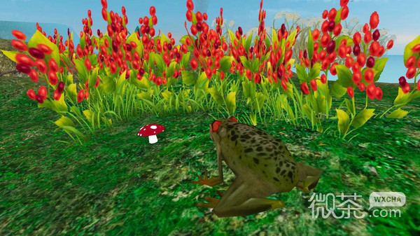 雨林青蛙生存模拟