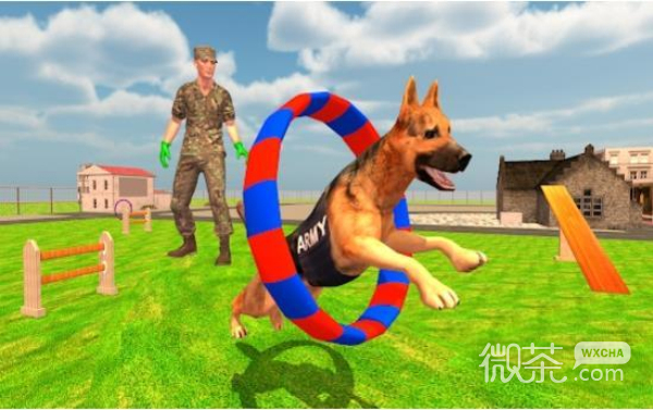美军间谍犬训练
