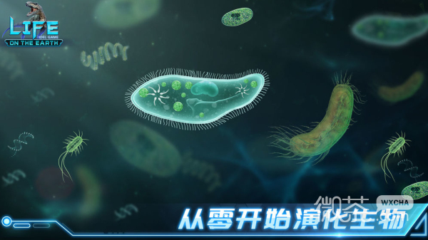 生命简史：古生物放置游戏