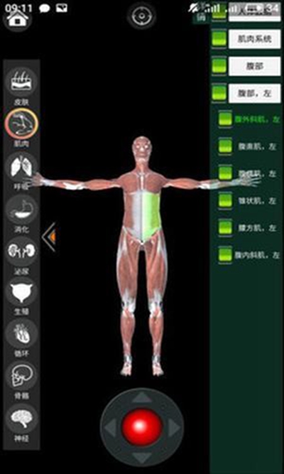 虚拟现实人体解剖