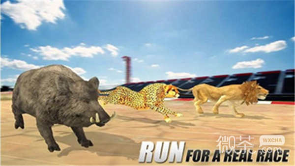 野生动物赛跑