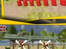 类似正中靶心的