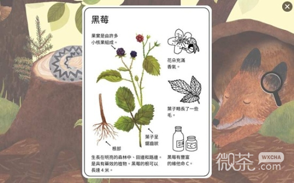 小棕鼠的自然生态百科(Little Mouses Encyclopedia)