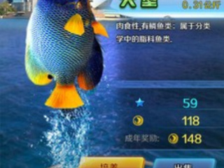 模拟钓鱼的
