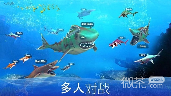 双头鲨鱼袭击