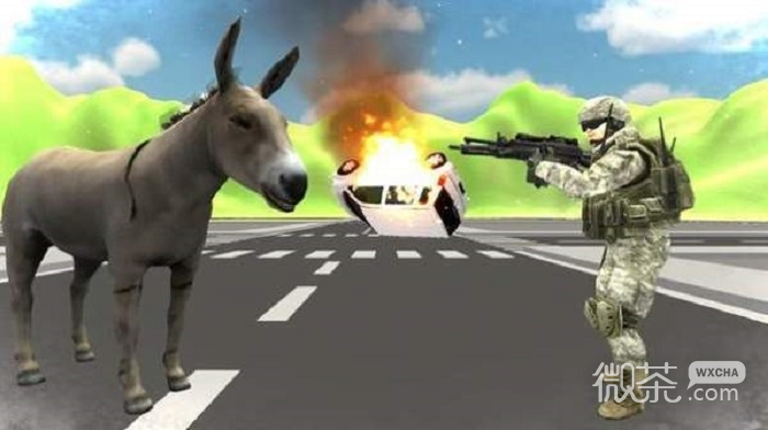 Donkey Rampage