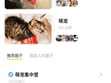 萌宠的