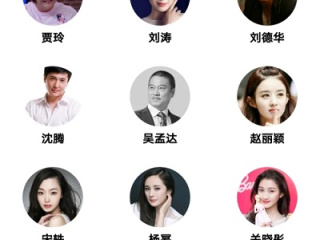 傻猫追剧