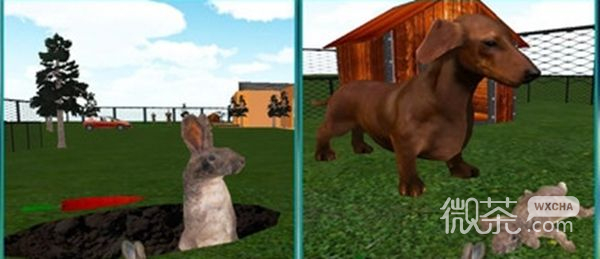 单机野兔生存模拟