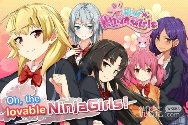 Moe! Ninja Girls
