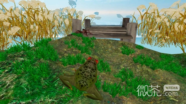 雨林青蛙生存模拟 第1张
