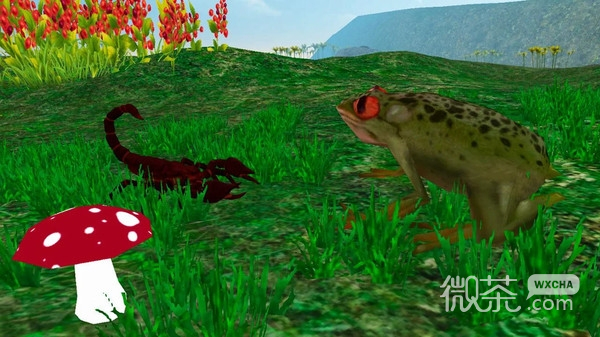雨林青蛙生存模拟 第2张