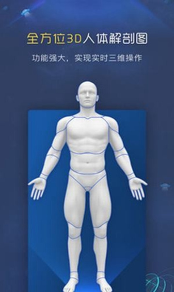 3d人体解剖图谱