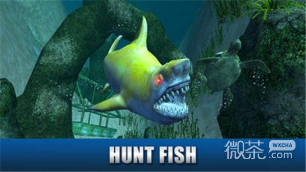 凶残鲨鱼模拟3D