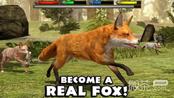 最终狐狸模拟器